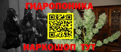 2c-b Камышлов