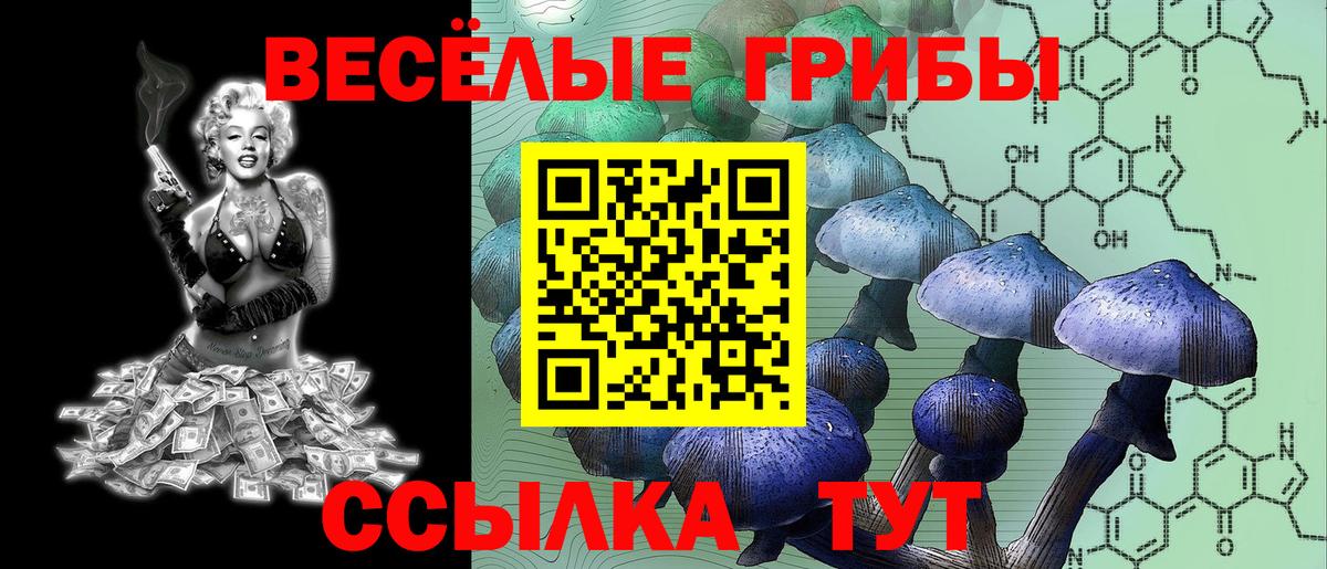 Галлюциногенные грибы Psilocybine cubensis Каменск-Шахтинский